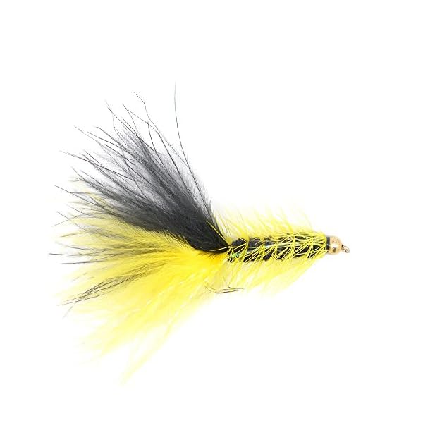 The-Fly-Fishing-Place-Bead-Head-Woolly-Bugger-Classic-Streamer-Flies-Set-of-12-Bass-and-Trout-Fly-Fishing-Flies-Hook-Size-4