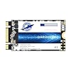 Dogfish M.2 2242 SSD 1TB Sata III 6 Gb/s Ngff Interne Solid State Harde Schijf Hoge Prestaties harde Schijf Voor Desktop…