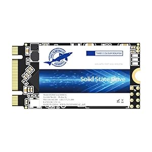 Dogfish M.2 2242 SSD 1TB Sata III 6 Gb/s Ngff Interne Solid State Harde Schijf Hoge Prestaties harde Schijf Voor Desktop…