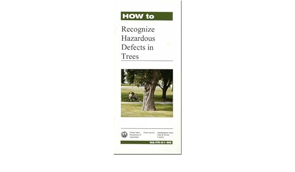 How To Recognize Hazardous Defects In Trees Northeastern - 