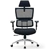 Ticova Ergonomic Office Chair – High Back Desk Chair with Elastic Lumbar Support & 3D Metal Armrest – 130°Reclining…