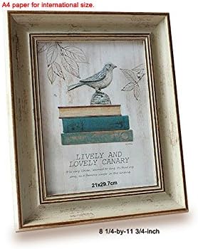 leyoubei Retro Frame Simple frame for documents or photographs-Decorative picture on the wall/Thick frame Pack of 1 (8 1/4x11 3/4")A4 paper for international size (gray bird)