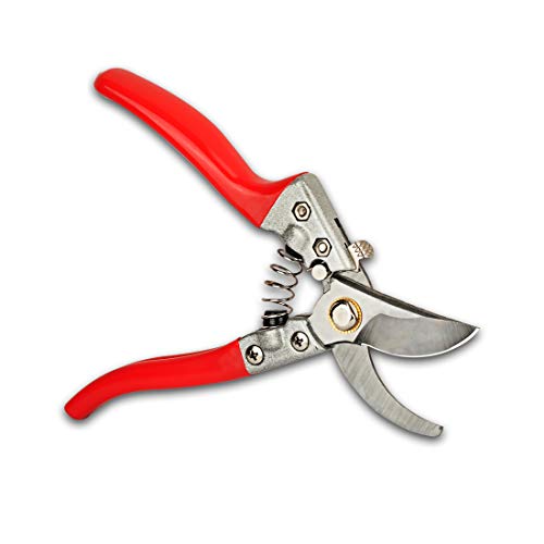T-MAI SK-5 Bypass Hand Pruners, Pruning Shears, Garden Shears with Spring and Safety Buckle, Garden Clippers for Garden Harvesting Fruits & Vegetables, Tree Trimmers Secateurs (Red)