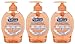 Softsoap Antibacterial Hand Soap with Moisturizers, Crisp Clean, 7.5 fl. oz. (3