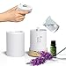 GreenFresh Essential Oil Diffuser - Best Essential Oil Diffuser with Four-In-One Versatility and Seven LED Light Choices - Works Great as a Fragrance Lamp, Air Purifier, Humidifier, or Nightlight