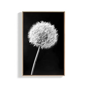 SIGNFORD Framed Canvas Home Artwork Decoration Plants Canvas...