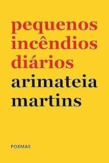 Livro Pequenos incêndios diários