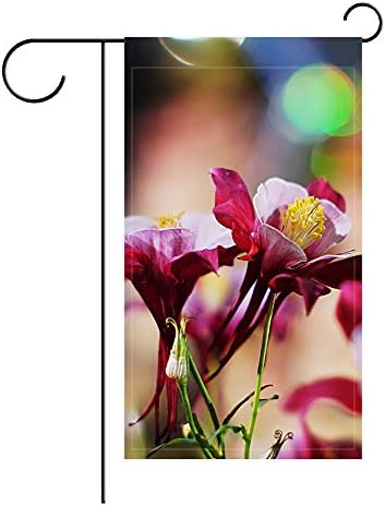 Ant88 Garden Flag Aquilegia Flowers Petals Blur Close Up 12x18 inches(Without Flagpole)