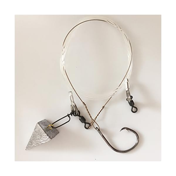 BlacktipH-Shark-Rig-Tackle-Crafters