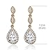 A+O Elegant Teardrop Cubic Zirconia Crystal Earrings in Silver, Gold, Rose Gold (Gold)
