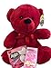 Valentine’s Day Gift Basket for Kids – Heart Shaped Chocolates M&M’s, Solid Milk Chocolate Hershey’s Kiss, Conversation Hearts, Reese’s, Gummies & Plush 9″ Red Teddy Bearthumb 3