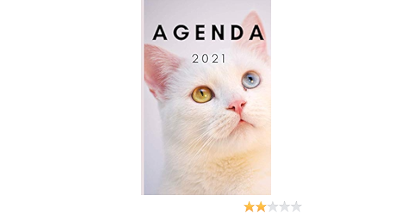 Agenda 21 Chat Et Chaton Agenda Semainier 21 Chat 12 Mois Janvier A Decembre Planificateur Semainier 21 Registre De Mot De Passe Amazon Es 21 Chat Agenda Libros En Idiomas Extranjeros