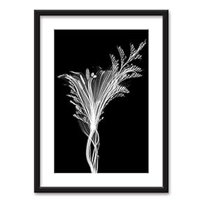 Framed Flowers Art in Black Picture Frames White Matting