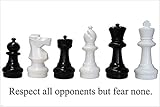 chess pieces from eurochess MOTIVATIONAL POSTER 24X36 RESPECT BUT FEAR NONE