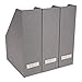 Bigso Viktoria Magazine Organizer - Durable Magazine Holder for Papers, Manuals and More with Metal Label Holder - File Organizer for Office Desks - 4in x 9.7in x 12.7in - Grey