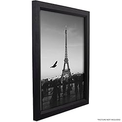 Craig Frames 7171610BK 8.5 by 11-Inch Picture