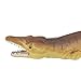 Safari Ltd Wild Safari Dinosaur and Prehistoric Life Plesiosuchus