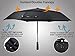 Balios Travel Folding Umbrella with Real Wood Handle Auto Open Close Vented Windproof Canopy - Designed in UK