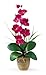 Nearly Natural Phalaenopsis Silk Orchid Flower Arrangement