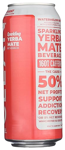 CLEAN CAUSE ORGANIC SPARKLING WATERMELON MINT YERBA MATE, 16 FZ
