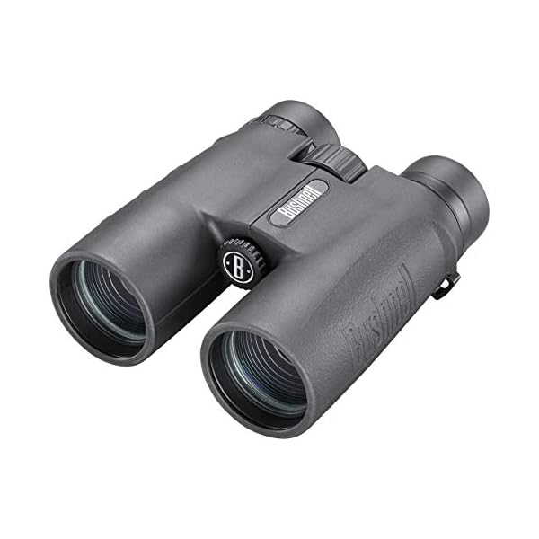 Bushnell - Allzweck - 10x42 - Schwarz - Dachkantprisma - Fernglas - Vogelbeobachtung - Sightseeing - Reisen - Wildtiere…