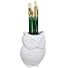 MyGift® White Owl Design Ceramic Utensil Holder, Kitchen Counter Cooking Utensil Storage Crock