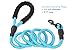 BAAPET 2 Packs 5/6 FT Dog Leash with Comfortable Padded Handle and Highly Reflective Threads Dog Leashes for Small Medium and Large Dogs (5FT-1/2'', Black+Blue)
