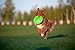 Floppy Dog frisbee - Harmless for teeth and gums - Lighter From The Rubber One - Outdoor Indoor Fetch Toy Flying Floating Disc - Dog Toys for Medium Large Dog - Flyber Plus