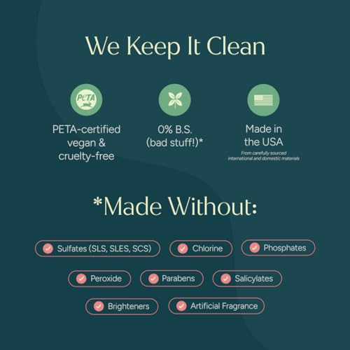Puracy Carpet Cleaner Solution - Carpet Shampoo, Pet Stain & Odor Remover, photo 9