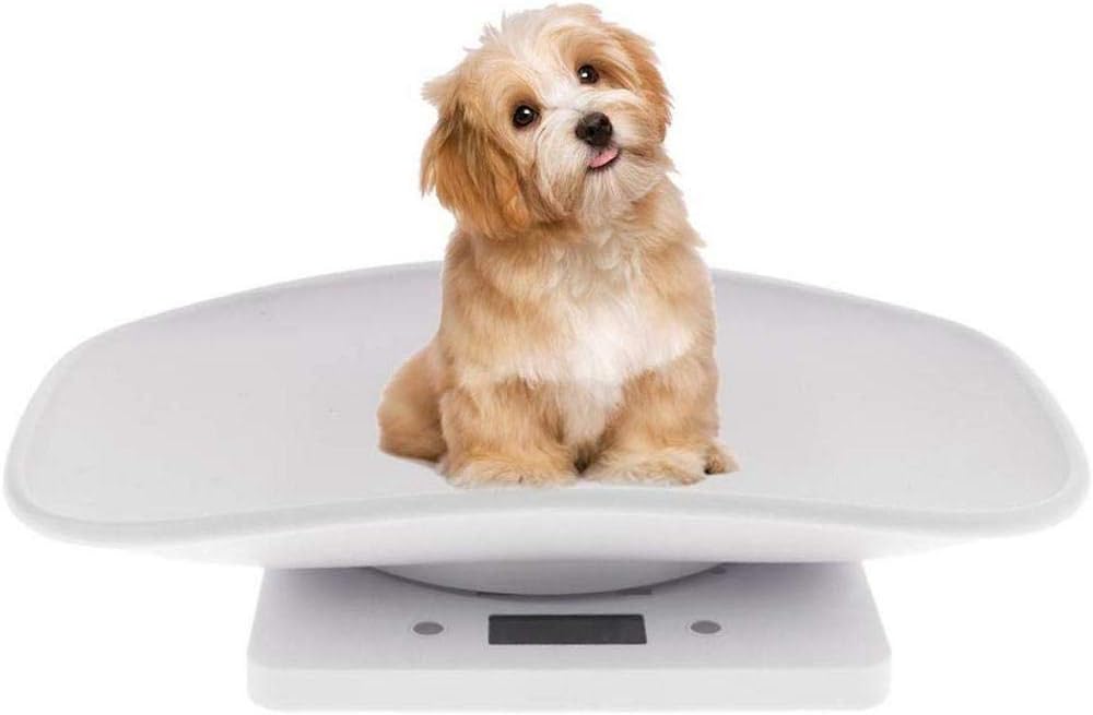 Digital Pet Scale, Hamkaw Food Weight Scale, LCD Electronic Scales for Measure Baby, Small Dog