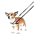 HALTI Front Control Harness - To Stop Your Dog Pulling on the Leash. Adjustable, Lightweight and Easy to Use. Anti-Pull Dog Training Harness for Small Dogs (Size S)