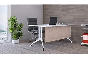 OBEX Modesty Desk PET Privacy Screen Acoustic Sound Absorbing Panel Ideal for Reception, Student Table or Office Cubicles Workstations, 24" x 48, Sand