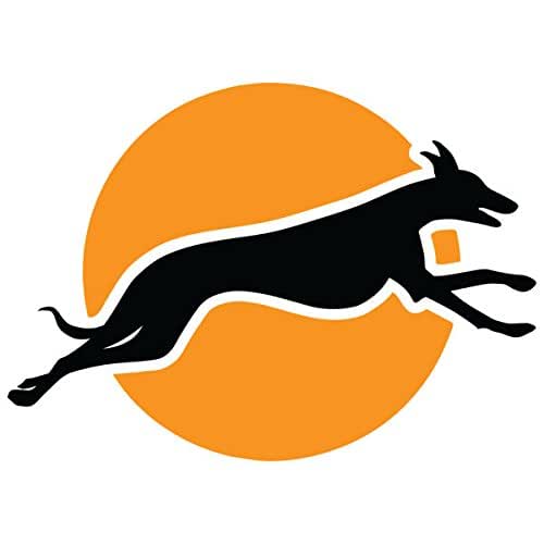 Flying dog collars Clearance