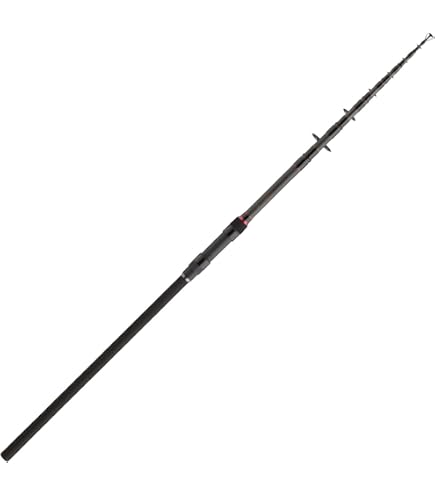 Amazon.com : DAIWA BG Deep Sea XXH, Boat Fishing Rod, 7 Feet 3