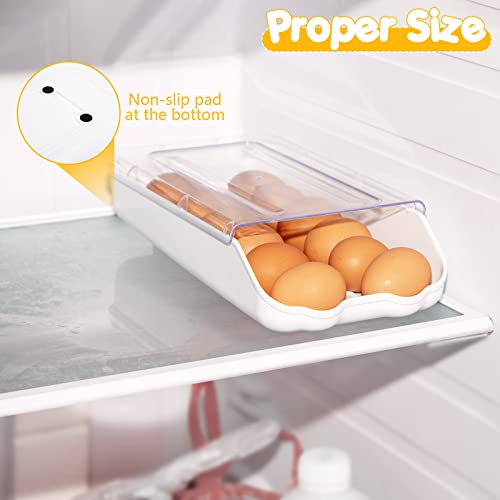 HANSGO Egg Holder for Refrigerator, Automatic Rolling Egg Dispenser Egg Storage Box with Lid 14 Count Egg Organizer for Kitchen Refrigerator