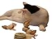 Feline Be Mine Cat Toy - Collection in Box Cat Wand Pet Activity 7 Piece Cat Nip Toys