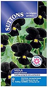 Suttons Seeds 136790 Viola Midnight Runner Seed