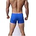 ALT 2017 Men 's Underwear Sexy Temptation Separation Ice Silk Translucent JJ Sets (Large, Blue)