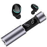 Aldalife Bluetooth 5.0 True Wireless Earphones HiFi Sound Quality IPX 5 Waterproof Sports Earbuds with Charger Case Compatible with Android iOS Phones PSP Devices Mini Headphones (Grey)