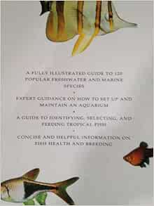 tropical fish identifier