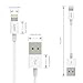 AUKEY Lightning Cable, Apple MFi Certified Charging Cable (3.3ft) for for iPhone 7, 7 Plus, 6, 6S, 6 Plus, iPad Pro and More