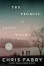 The Promise of Jesse Woods by Chris Fabry