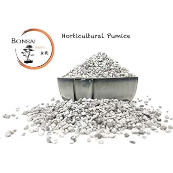 pumice garden bag stone soil 14lbs gallon particle succulent horticultural bonsai quart cactus orchid plant inch tree