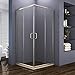 ELEGANT 36” D. x 36” W. x 72” H. 2 Opening Sliding Shower Enclosure, 2 Stationary Panels Shower Clear Glass Shower Doors, Brushed Nickel Finish