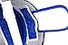 LEONARK Fencing Saber Mask Helmet CE 350N Certified National Grade Masque (Grey_Fixed, L)