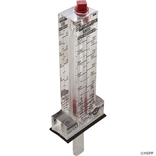 Flow Meter, BlueWhite, F300, for 2" PVC, 20120 gpm Buy Online in UAE. bluewhite