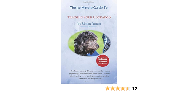 cockapoo toilet training