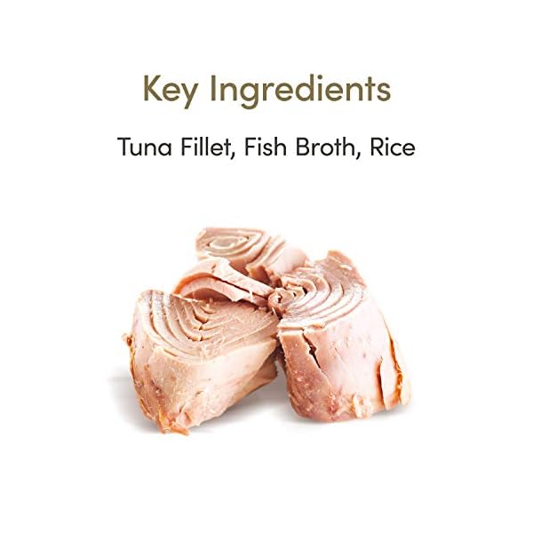 Applaws-100-Natural-Wet-Cat-Food-70g-Tuna-Fillet-24-x-70g-Tins Applaws 100% Natural Wet Cat Food 70g Tuna Fillet 24 x 70g Tins