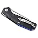 Kizer Knives Cutlery Flipper V4461A1 Tactical Folding Knife - Pocket Hunting Rescue Tool - EDC,Outdoor Survival Camping Knife - Military Style, Black