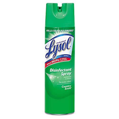 Professional Lysol 74276EA Disinfectant Spray, Lysol, 19 oz, Country Scent